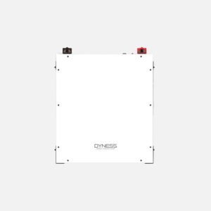 Dyness - Battery Lithium Ion DL5 5.12KWH 51.2V 100Ah - 1C (7 years warranty)