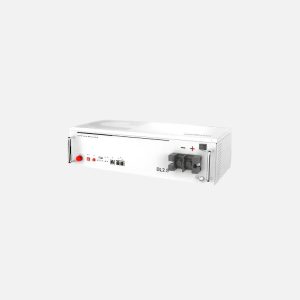 Dyness - Battery Lithium Ion DL 2.56kWh